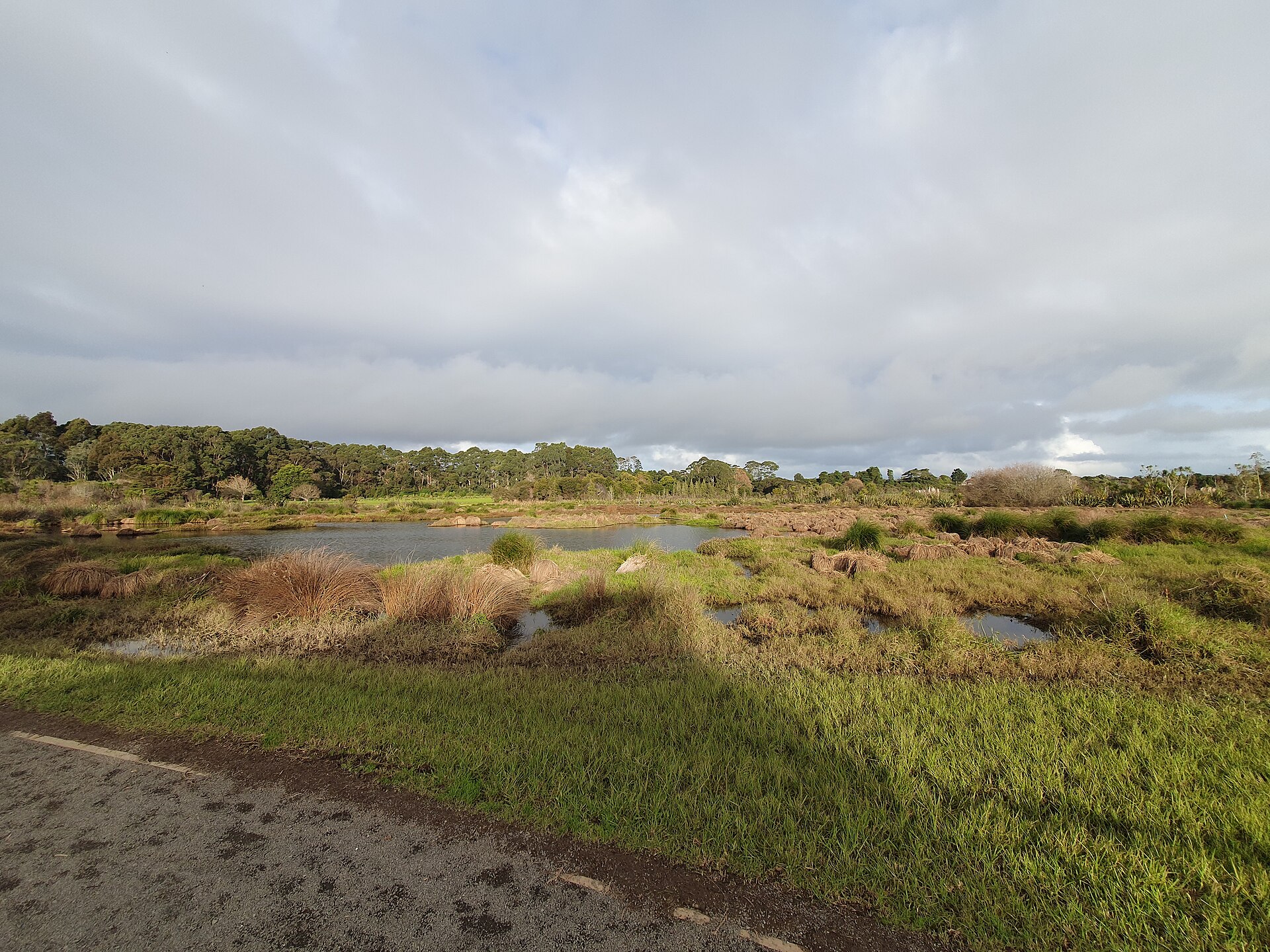Waiatarua Reserve in Remuera