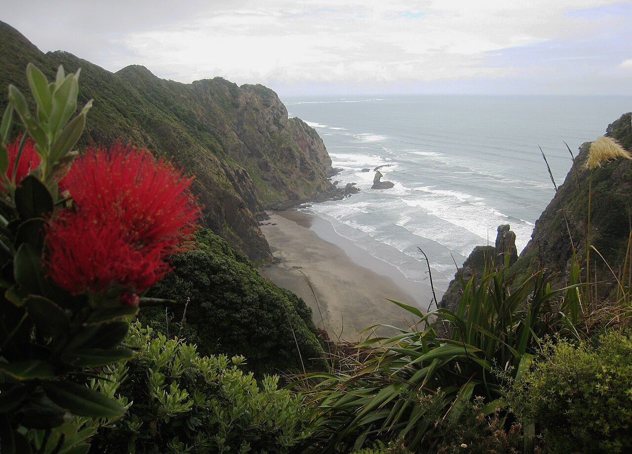 Mercer Bay (Te Unuhanga-a-Rangitoto), photo 1