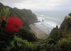 Mercer Bay (Te Unuhanga-a-Rangitoto) in Karekare