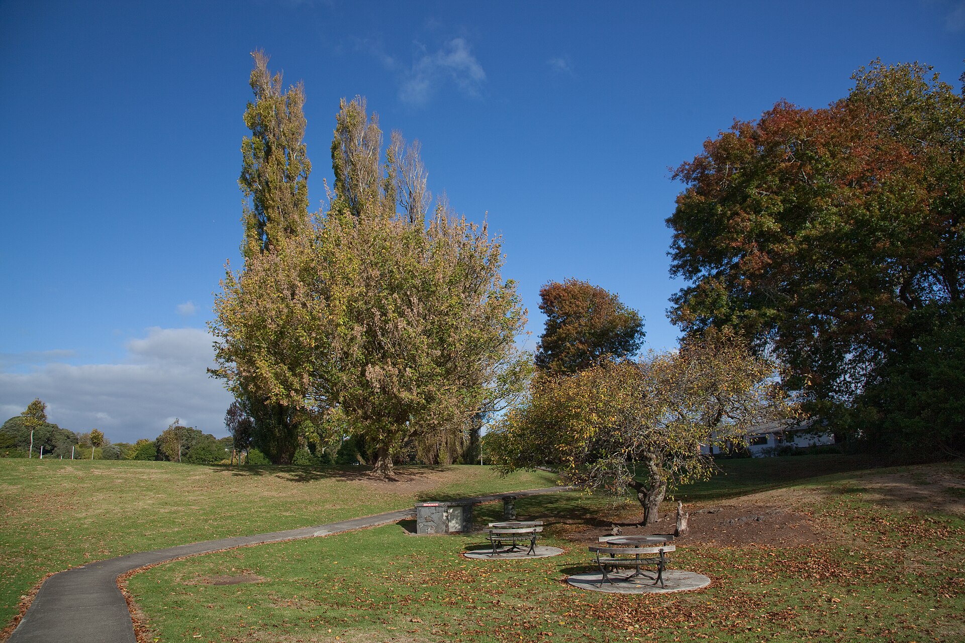 Fowlds Park in Mount Albert