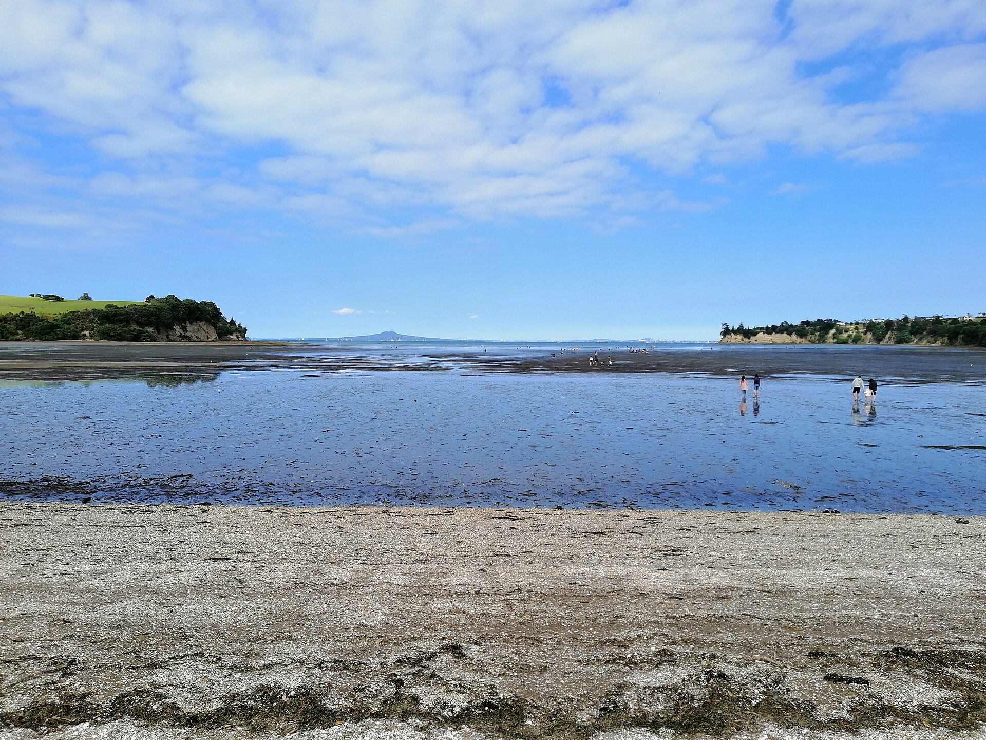 Shakespear Regional Park (Te Hāruhi) in Army Bay