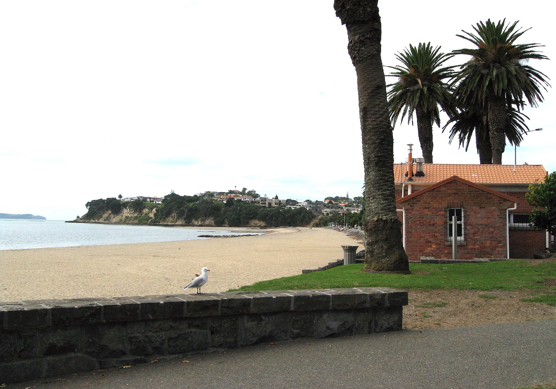 St Heliers Bay Beach in St Heliers