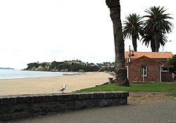 St Heliers Bay Beach in St Heliers
