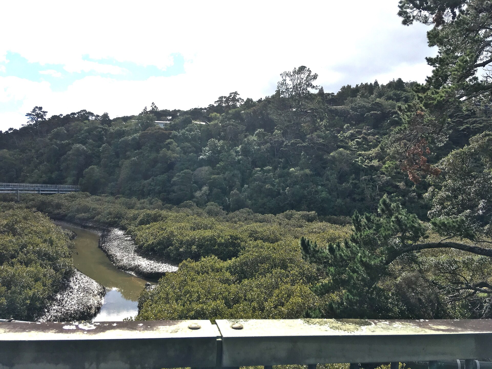 Kaipātiki Reserve in Glenfield