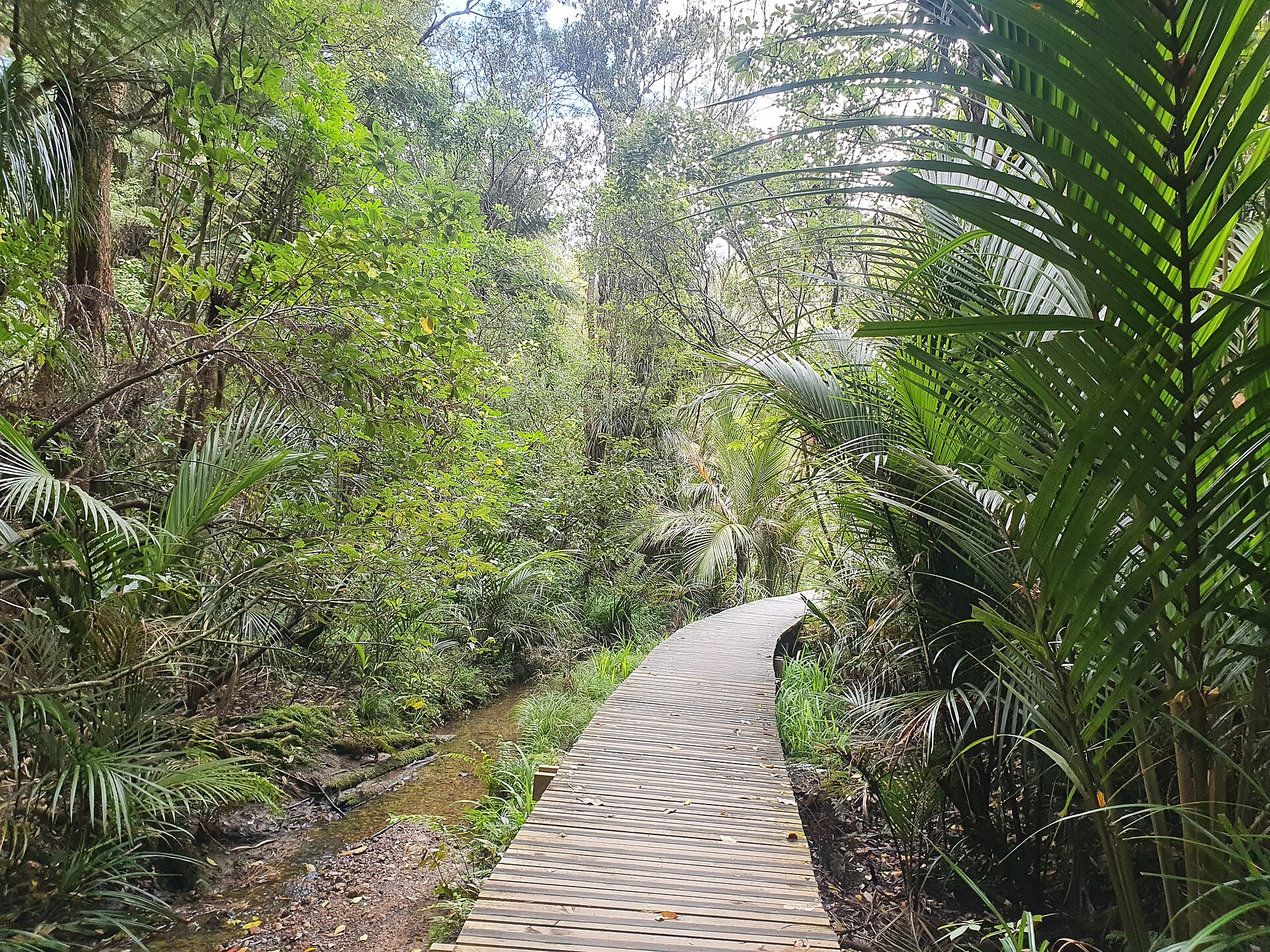 Le Roys Bush Reserve in Birkenhead