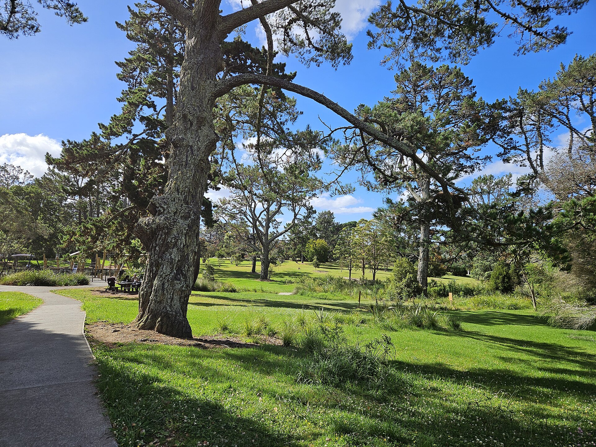 Craigavon Park in Blockhouse Bay
