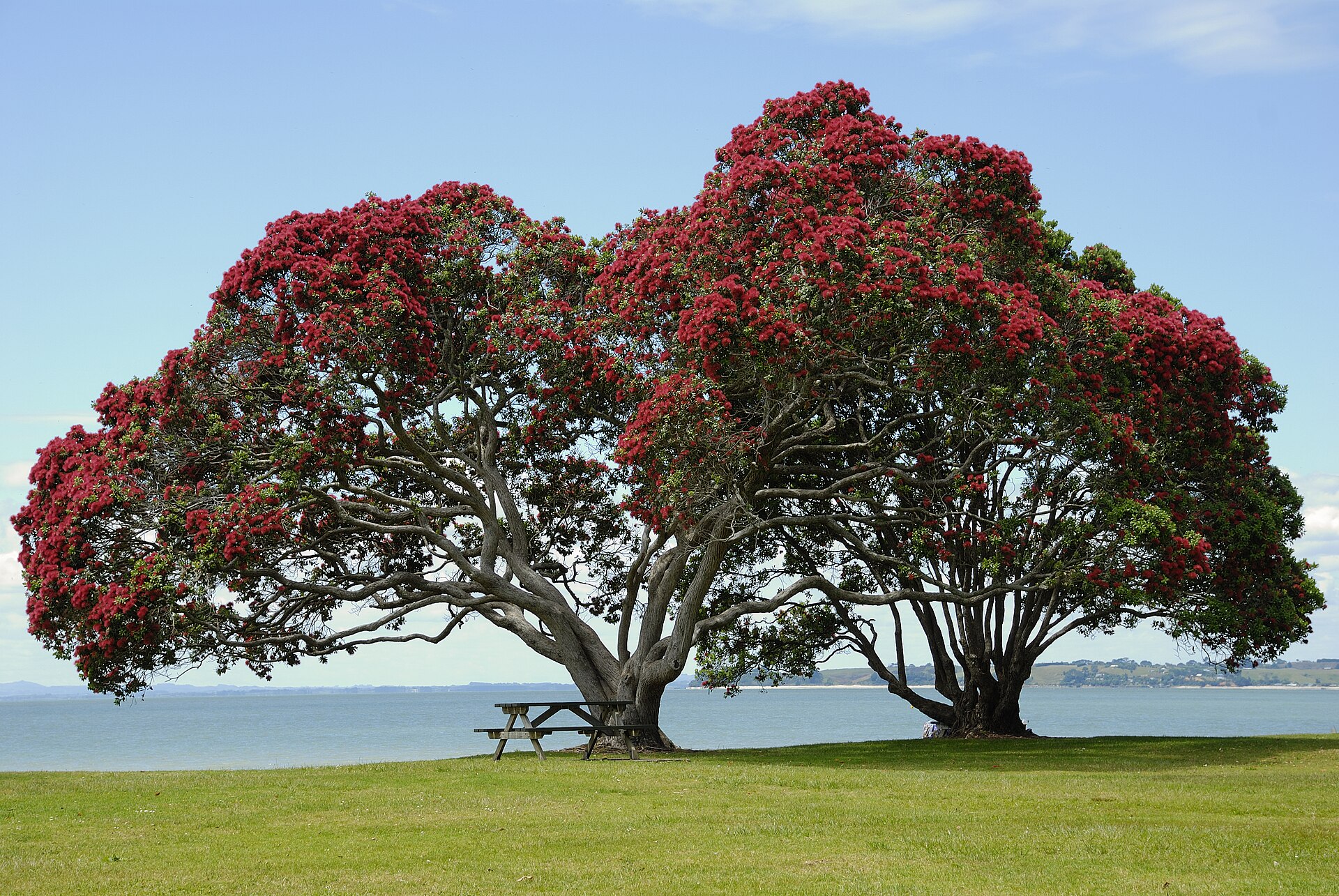 Cornwallis Beach in Cornwallis
