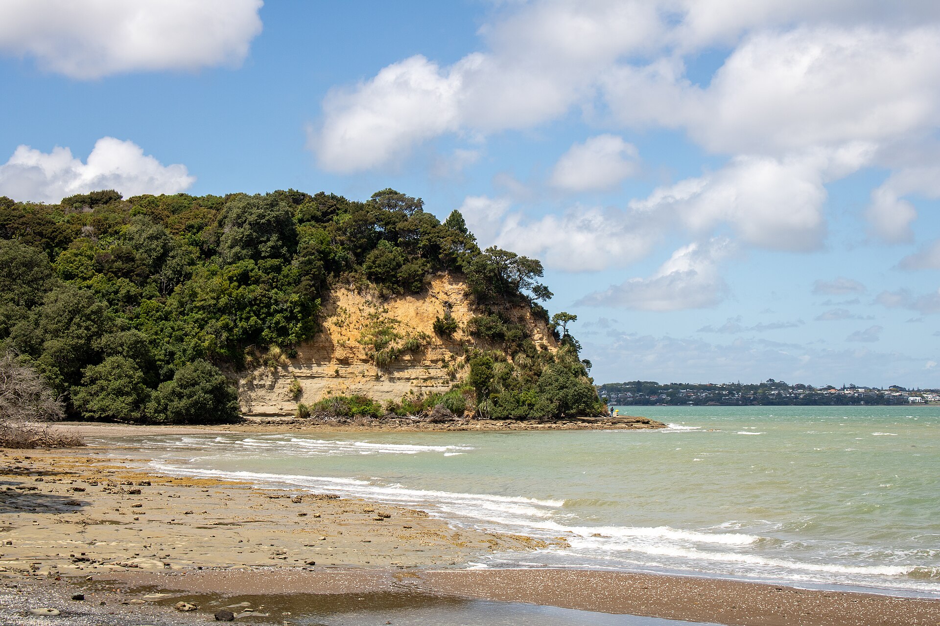 Kauri Point Beach in Chatswood