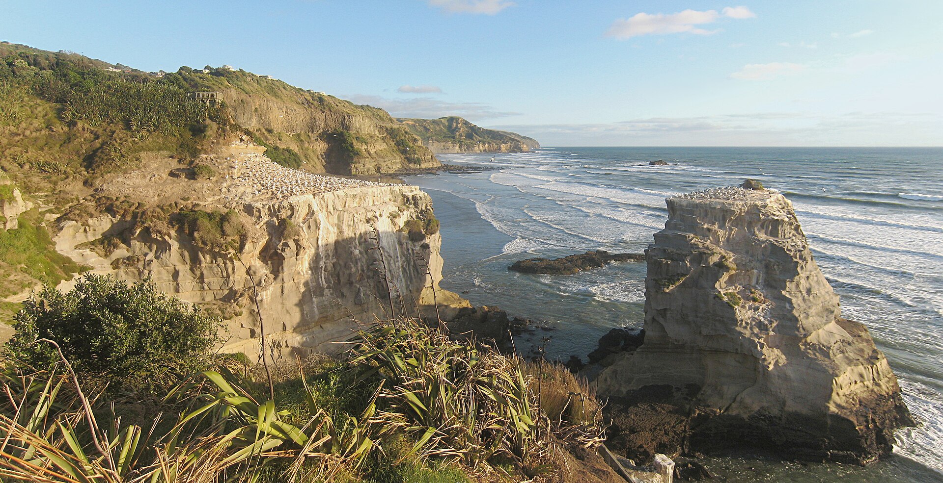 Muriwai Regional Park in Muriwai