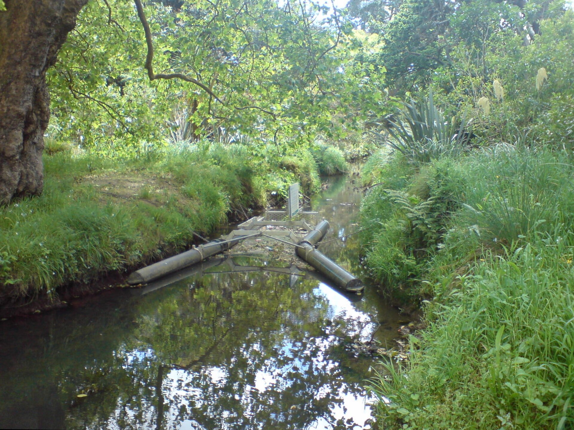 Ōakley Creek Walkway (Te Auaunga) in Waterview