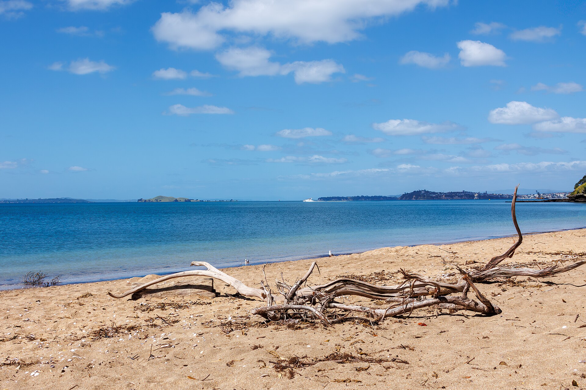 Cheltenham Beach in Devonport