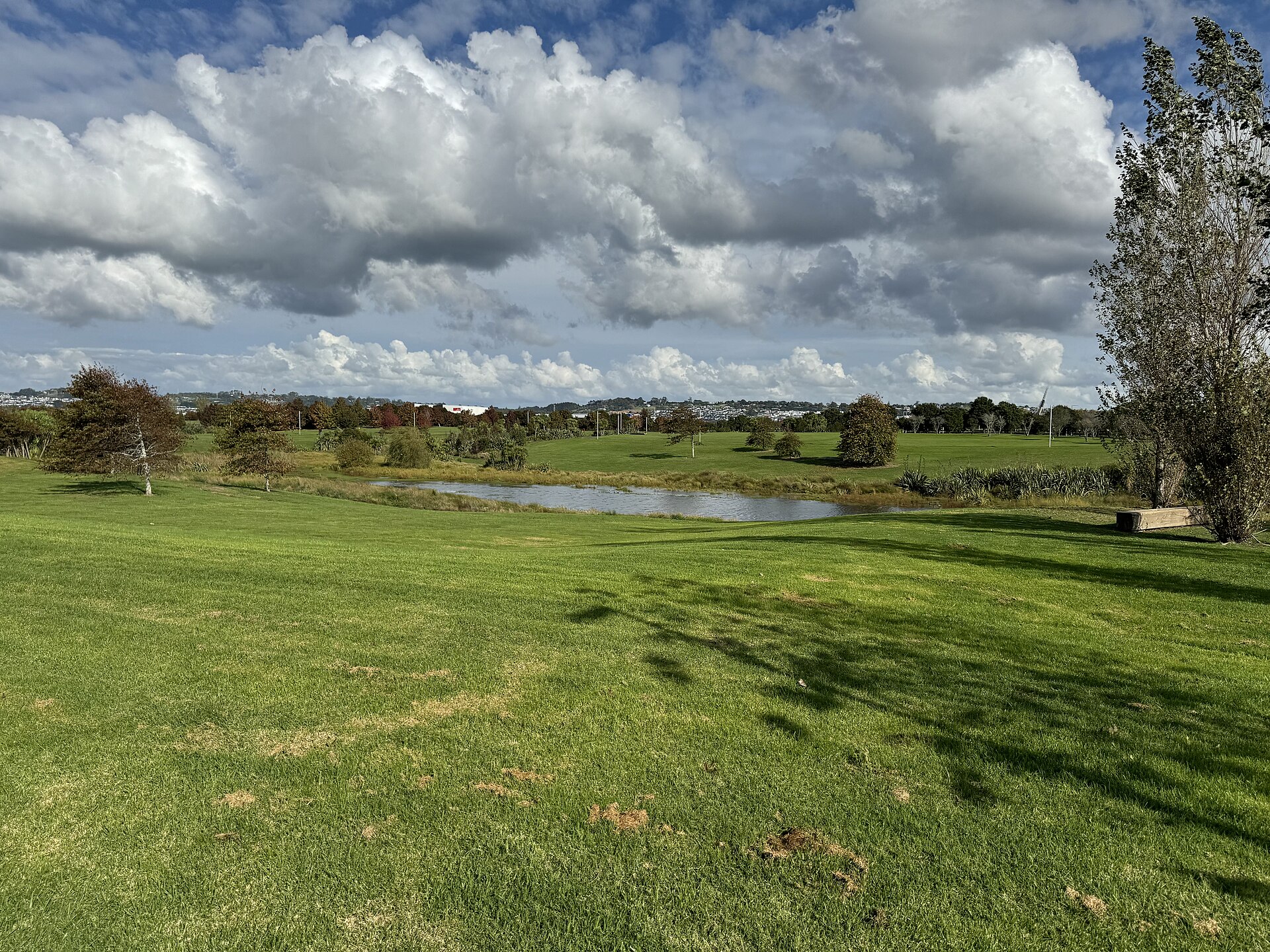 Barry Curtis Park in Flat Bush
