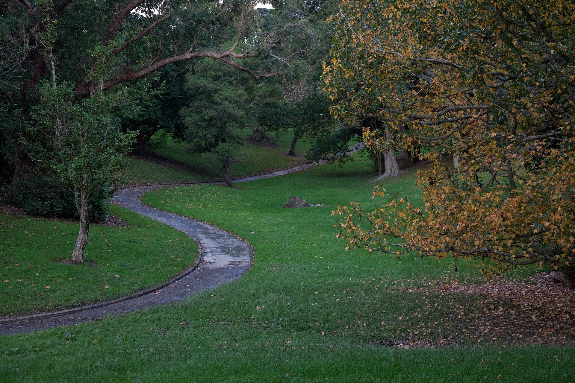 Point Erin Park in Herne Bay