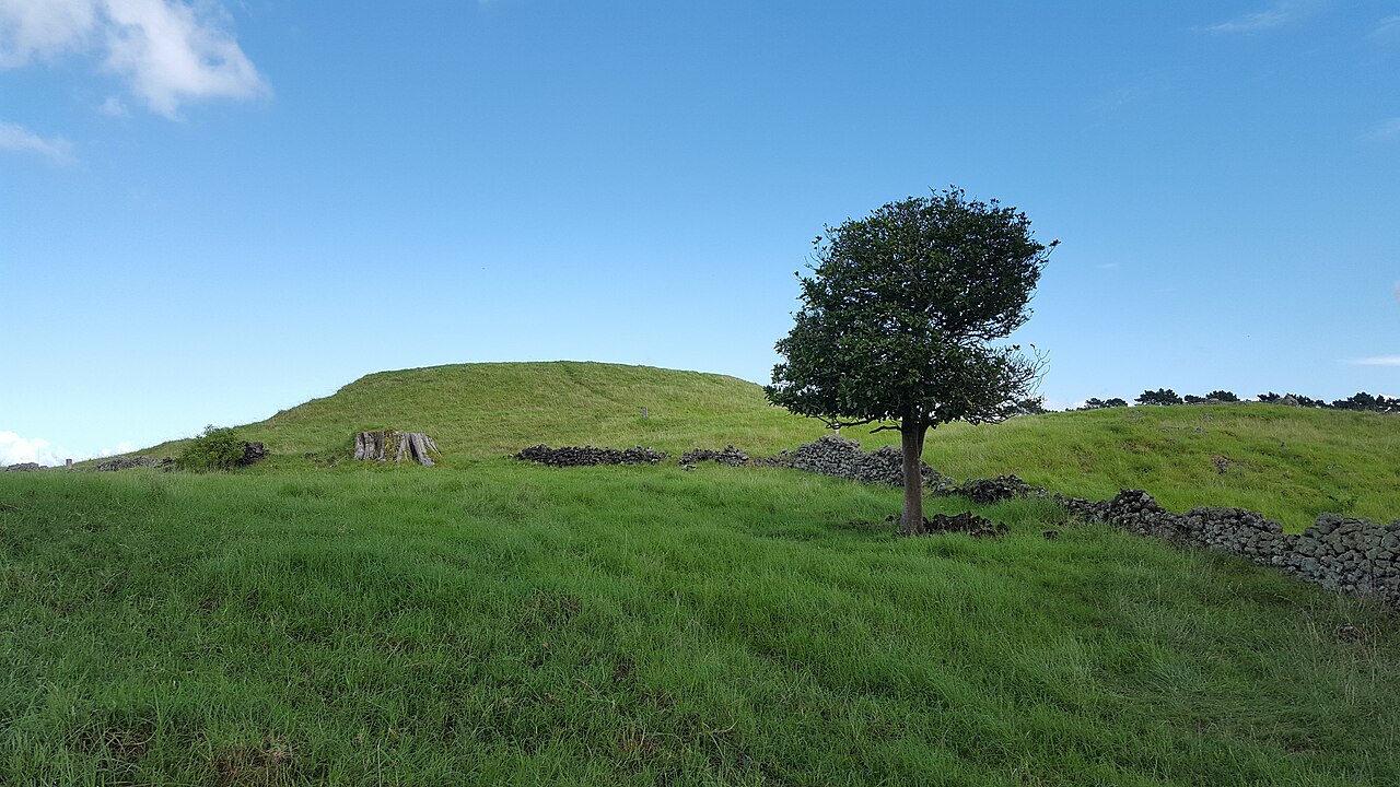 Ōtuataua Stonefields Historic Reserve, photo 4