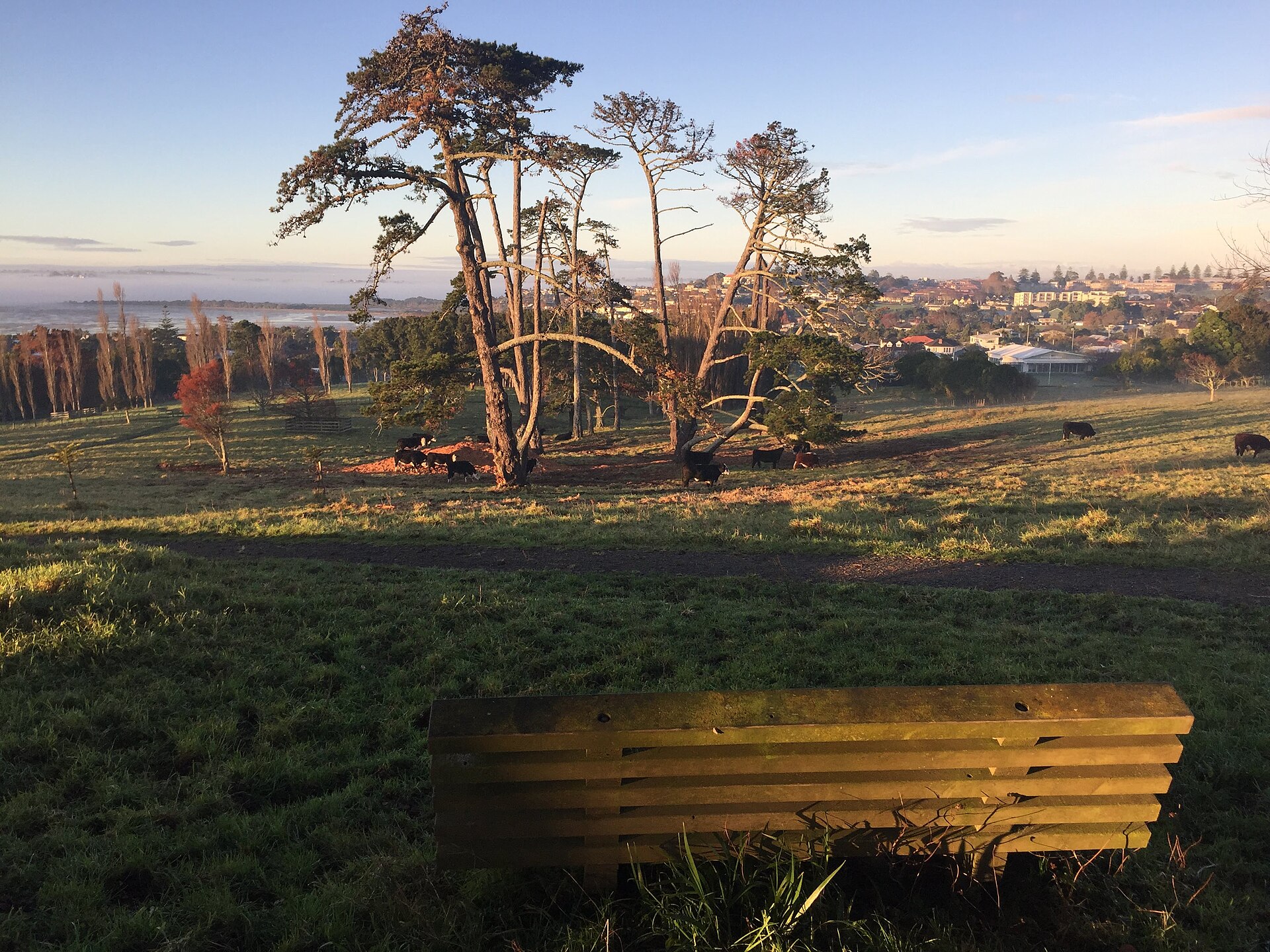 Churchill Park in Glendowie