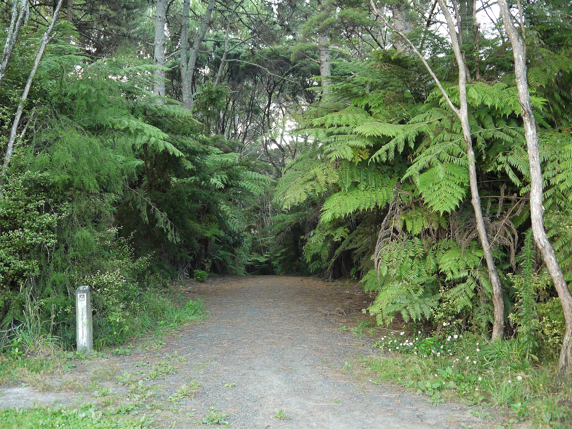 Moire Park in Massey