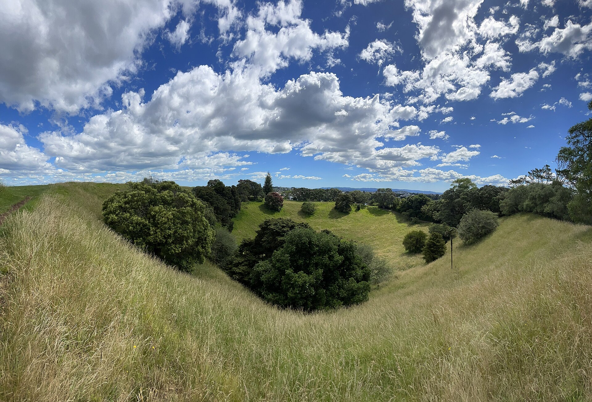 Mount Saint John (Te Kōpuke) in Epsom
