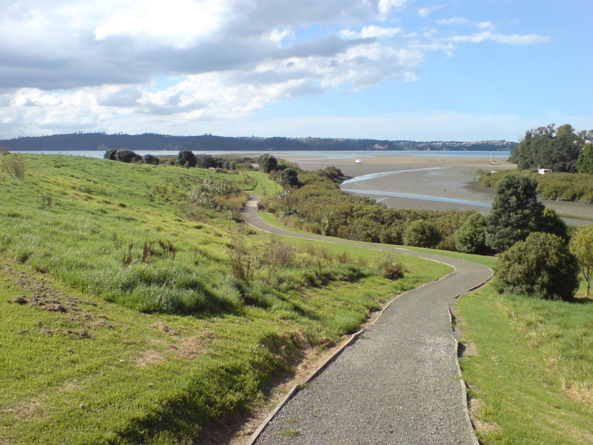 Meola Reef Reserve (Te Tokaroa) in Westmere