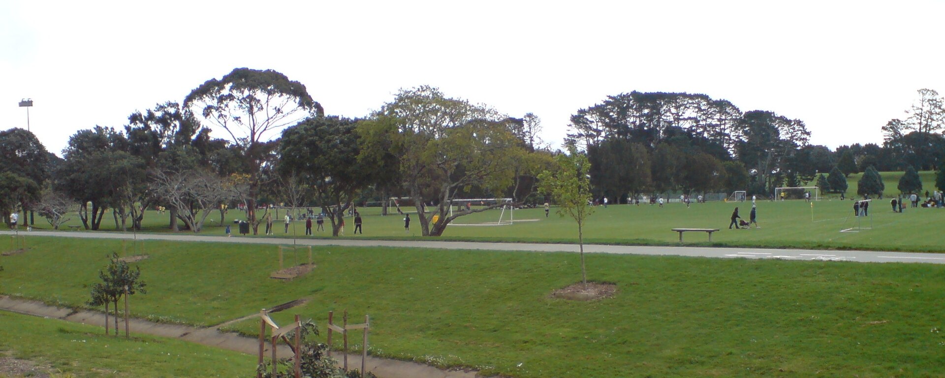Keith Hay Park in Mount Roskill
