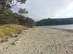 Wenderholm Regional Park (Maungatauhoro) in Waiwera