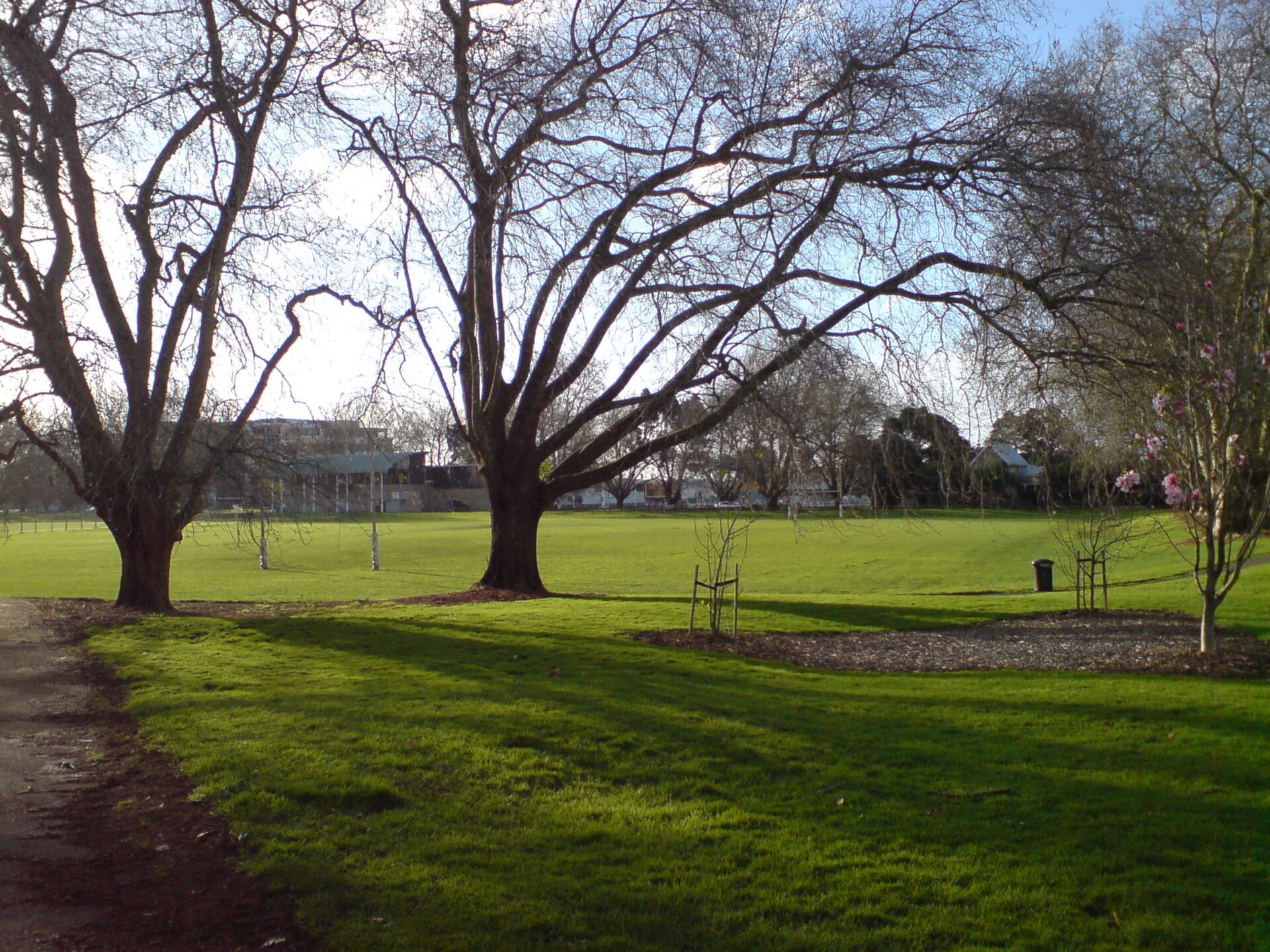 Victoria Park in Freemans Bay