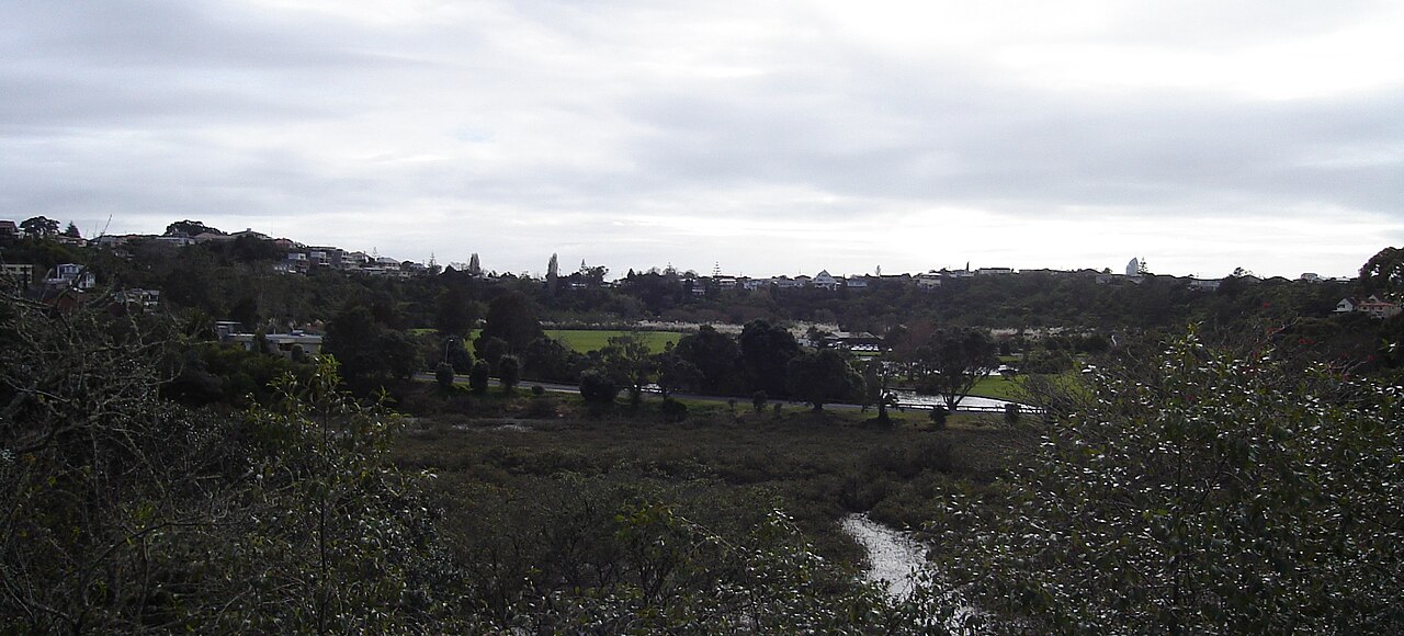 Onepoto Domain, photo 4