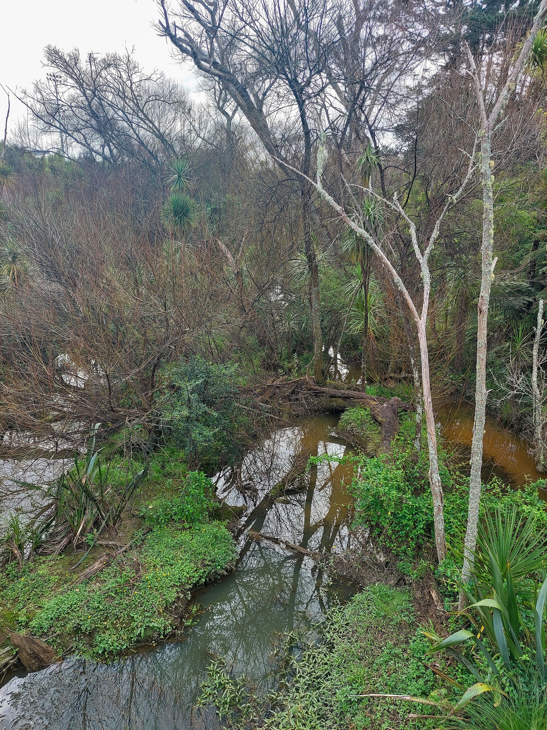 Rosedale Park in Albany