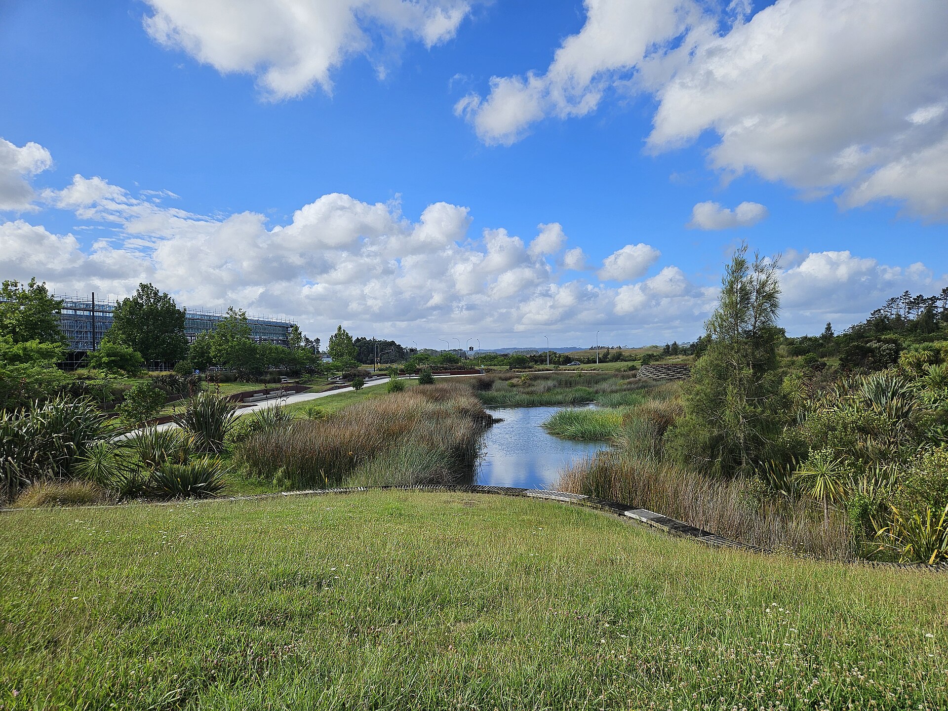 Kopupaka Reserve in Westgate