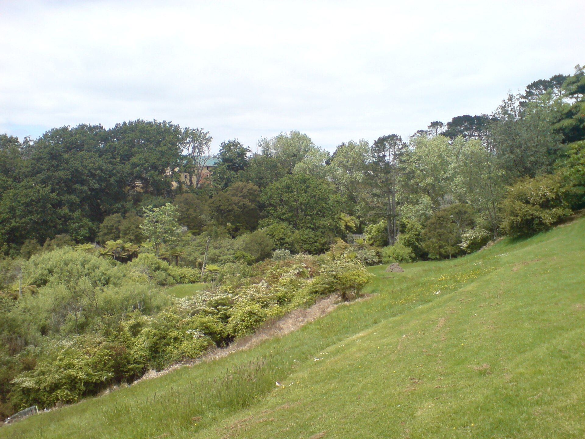 Waterview Reserve in Waterview