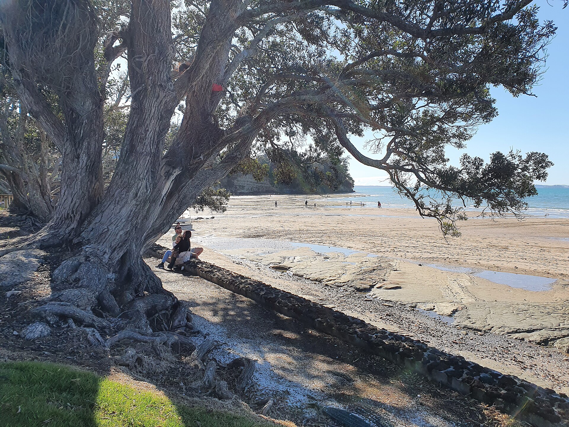 Howick Beach in Howick