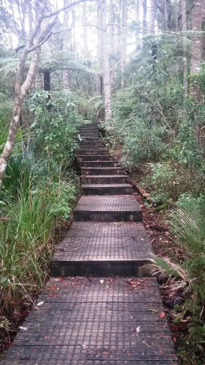 Alice Eaves Scenic Reserve, photo 2