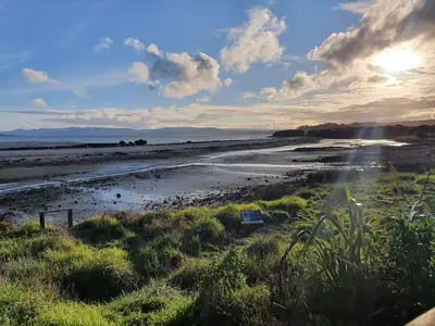 Ambury Regional Park (Te Ara i Tautahi) in Mangere Bridge