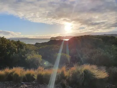Ambury Regional Park (Te Ara i Tautahi), photo 3