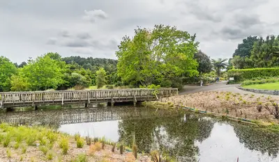 Auckland Botanic Gardens, photo 4