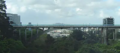 Auckland Domain (Pukekawa), photo 3