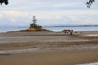Āwhitu Regional Park, photo 2