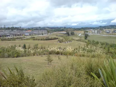Barry Curtis Park, photo 2