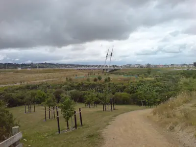 Barry Curtis Park, photo 3