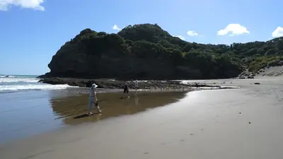 Bethells Beach (Te Henga), photo 4