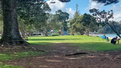 Browns Bay Beach, photo 4