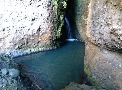 Cascade Kauri Park in Waitākere