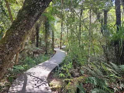 Cascade Kauri Park, photo 4
