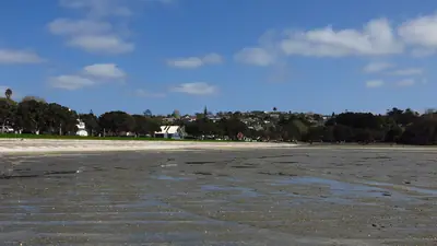 Cockle Bay Beach, photo 3