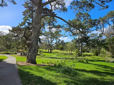 Craigavon Park in Blockhouse Bay
