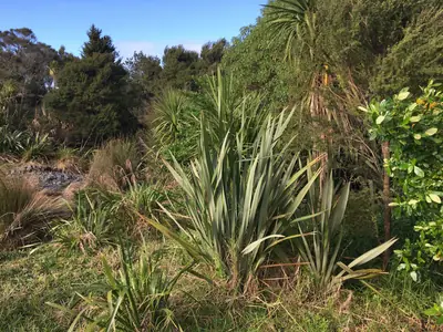 Eskdale Reserve, photo 2