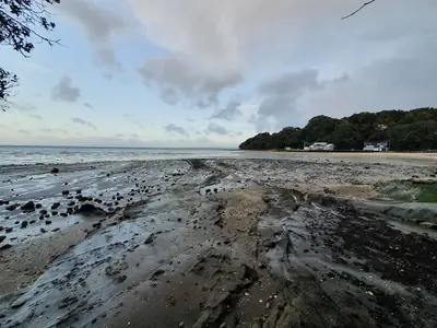 French Bay Reserve, photo 2