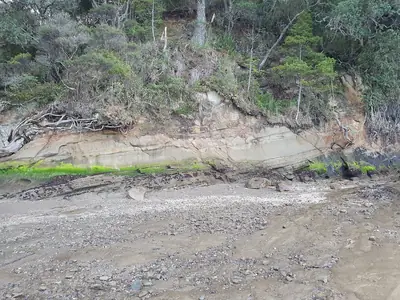 French Bay Reserve, photo 4