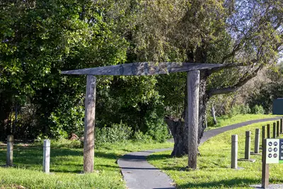 Grey Lynn Park in Grey Lynn