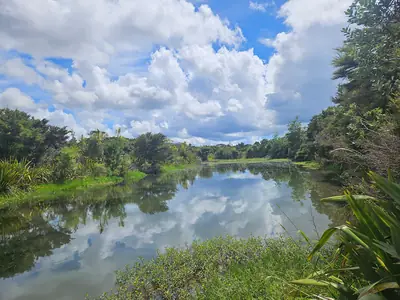 Harbourview-Orangihina Park, photo 2