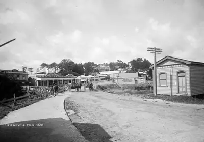 Helensville Domain, photo 4